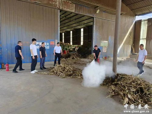 秦安獸藥飼料經(jīng)營及牧草加工企業(yè)安全生產(chǎn)督查紀實