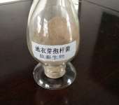 河南畜牧水產(chǎn)動(dòng)物營養(yǎng)優(yōu)化 飼料添加劑與飼料銷售的戰(zhàn)略整合